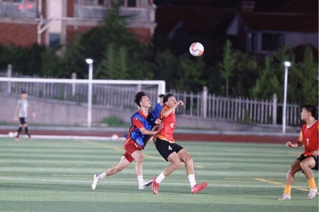 球后的反击, 感知, zd